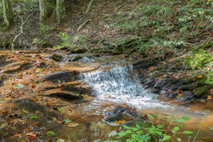 The Rivers_Cornelia-16