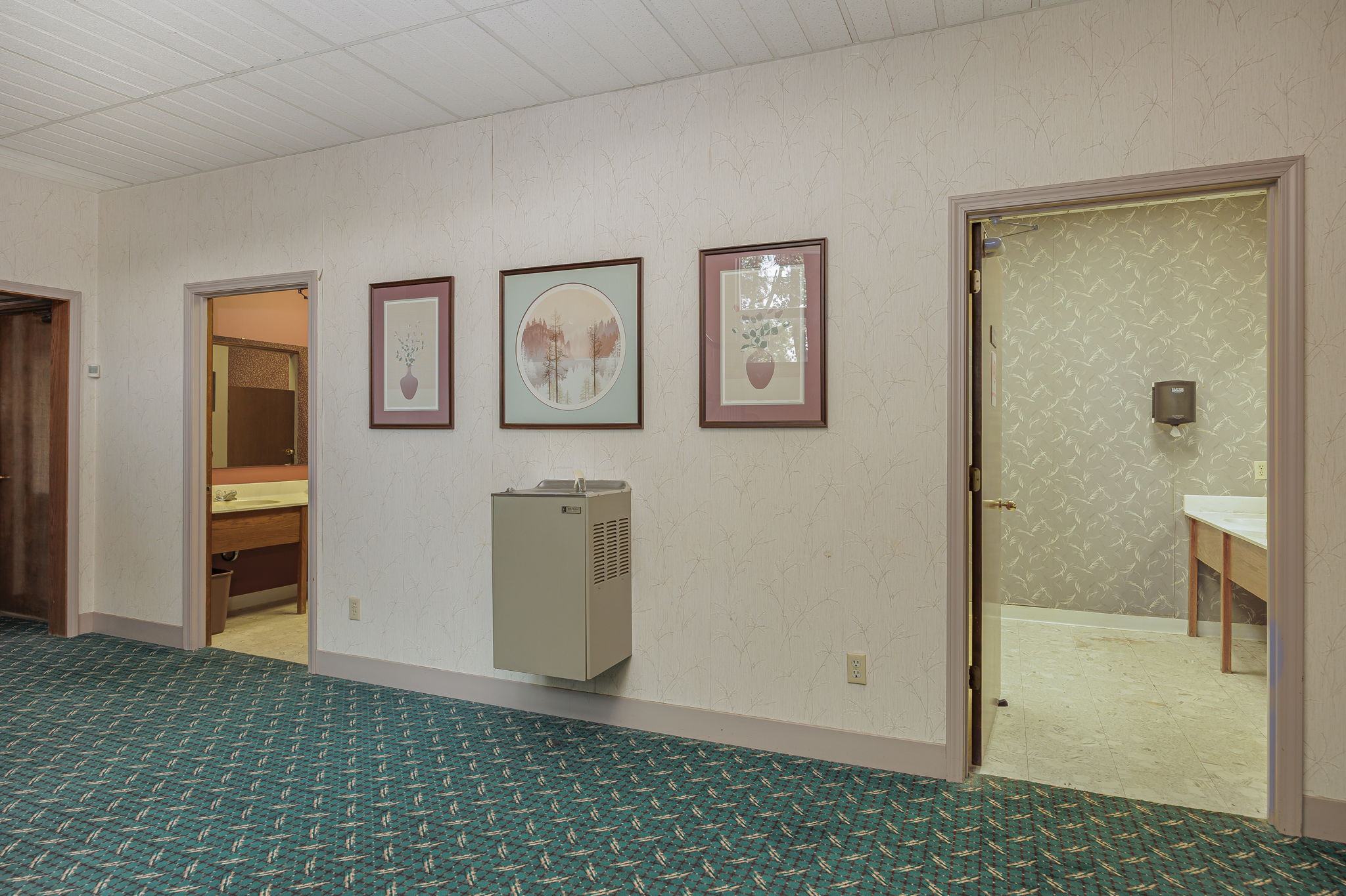 Lower Level (bathroom and stairs)