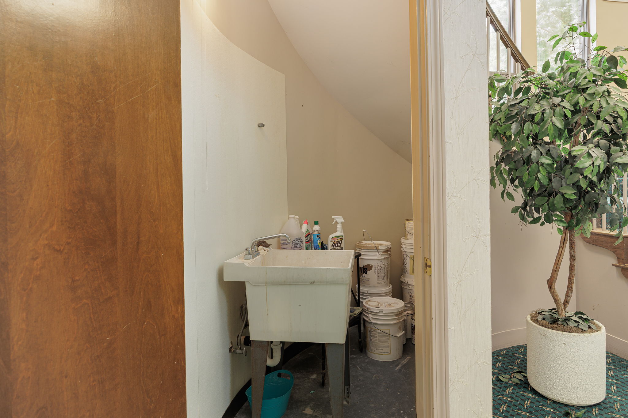 Lower Level (utility closet under stairs)