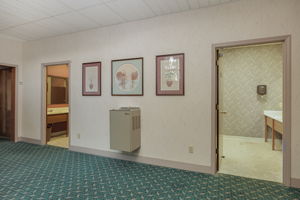 Lower Level (bathroom and stairs)