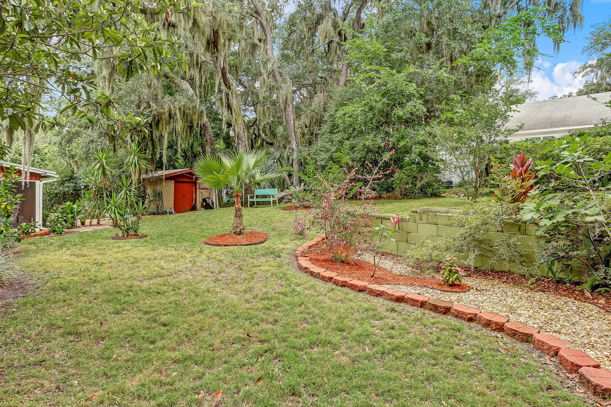 Back Yard