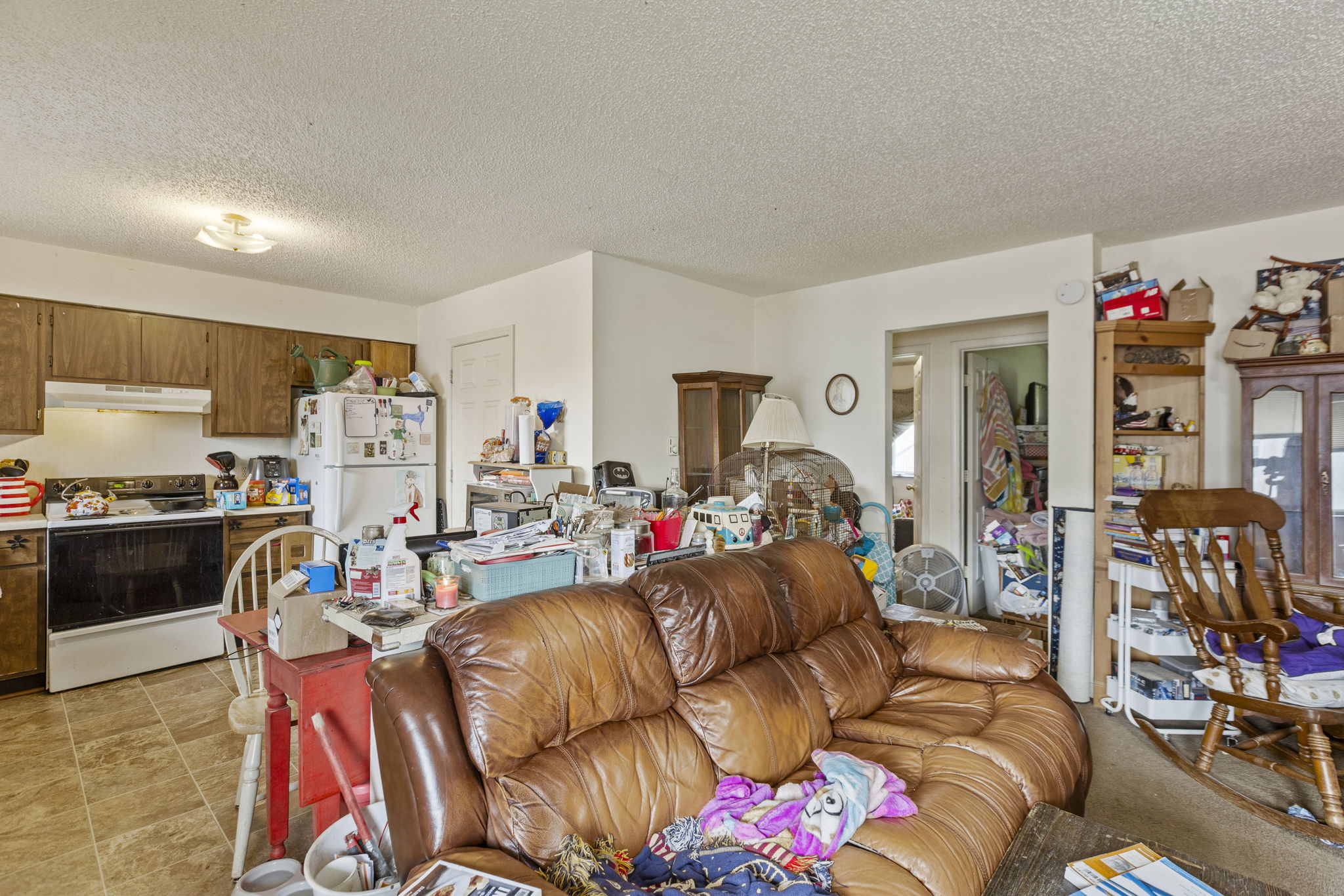  Photo 23