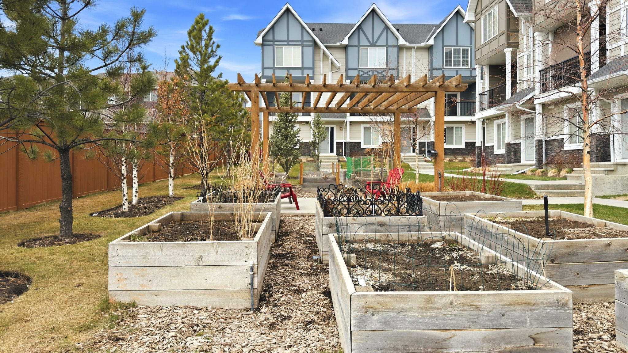  Photo 41