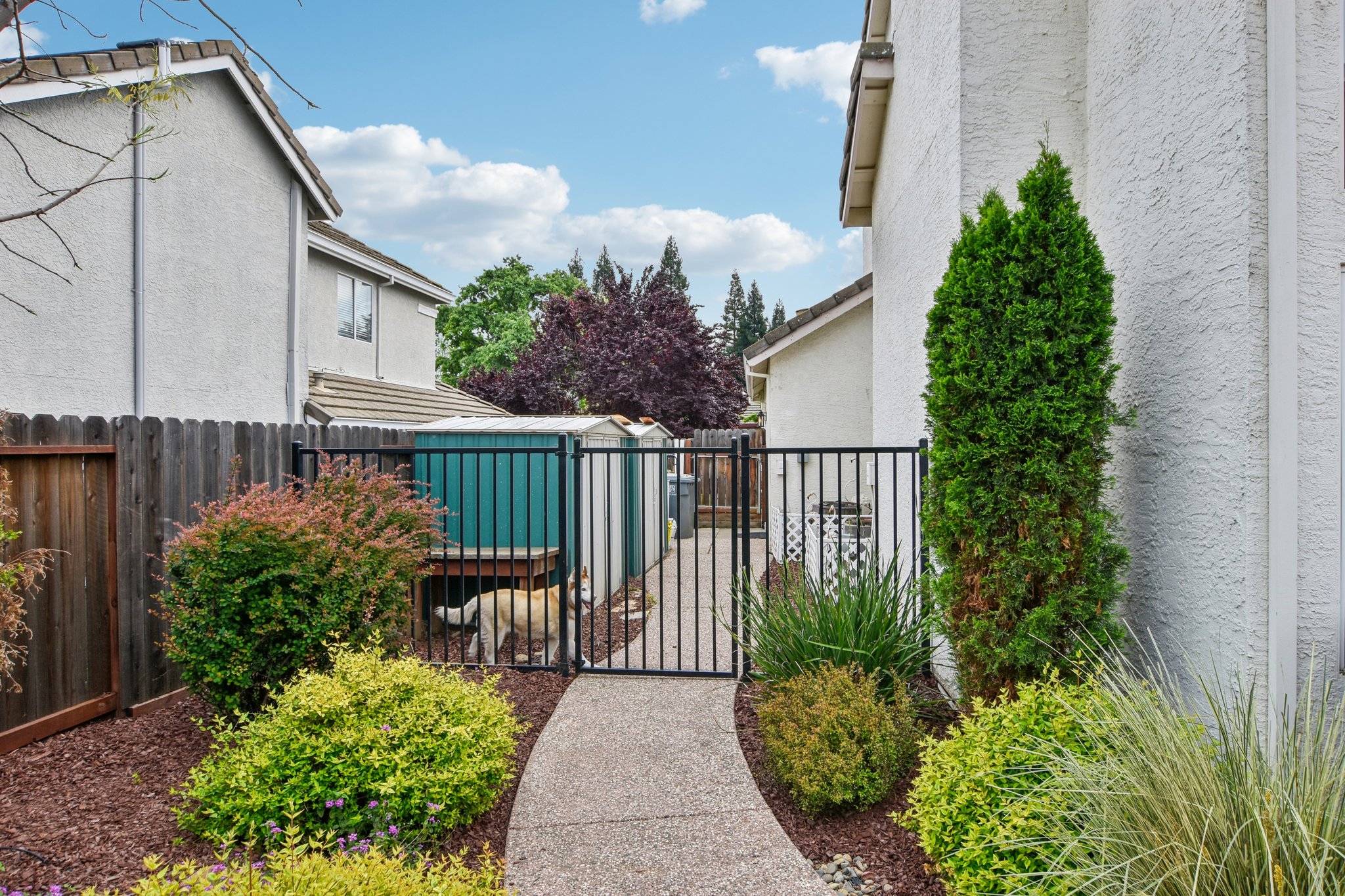 Russi Ct-S2803-041.jpg