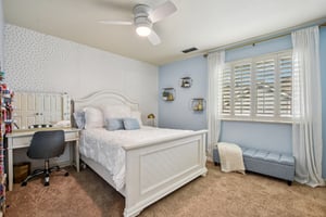 Russi Ct-S2803-020.jpg