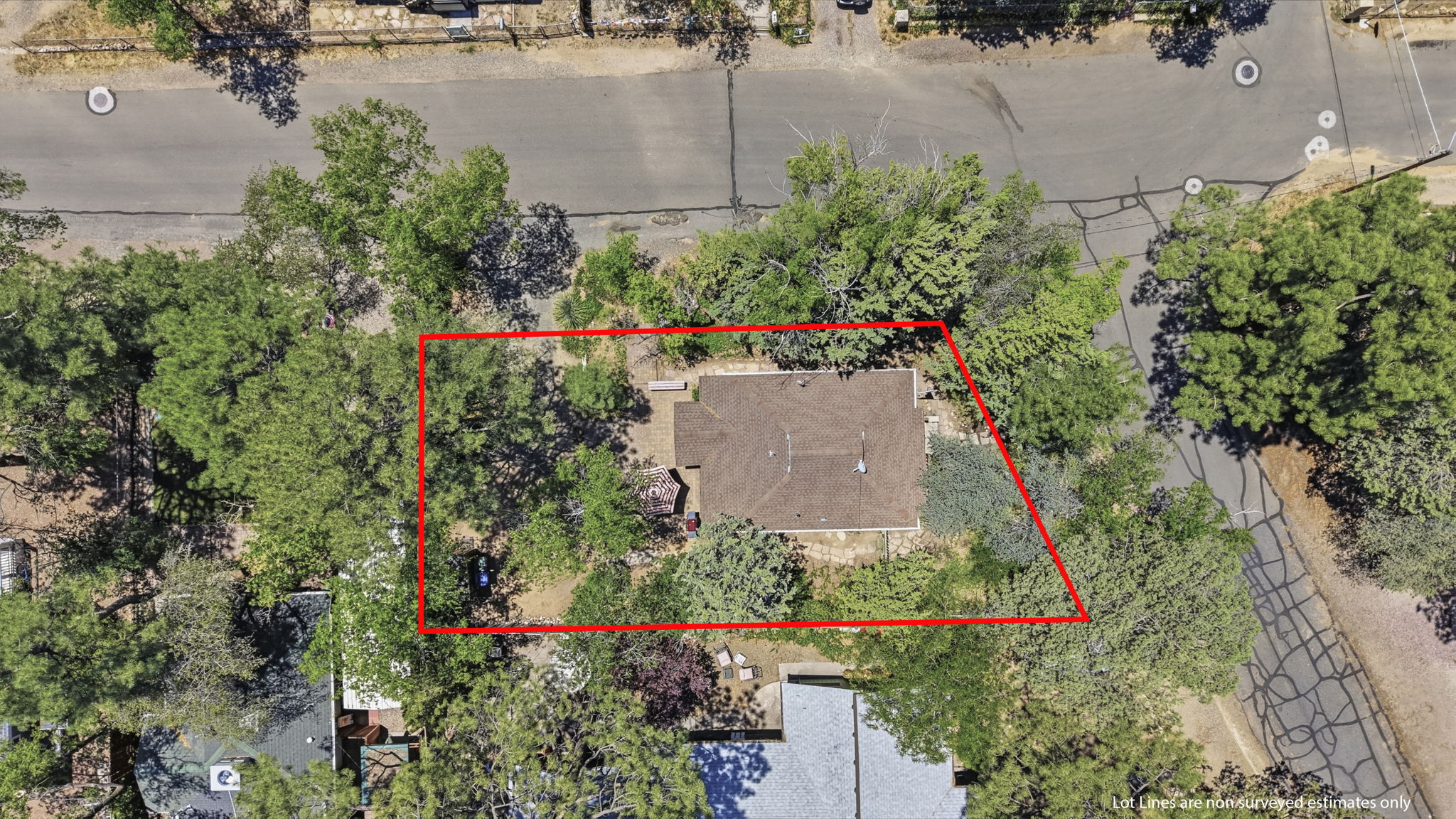 Birds Eye Lot Line