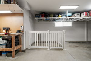  Photo 51
