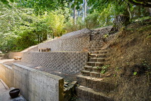  Photo 51