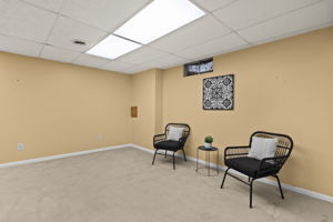 Lower Family Room