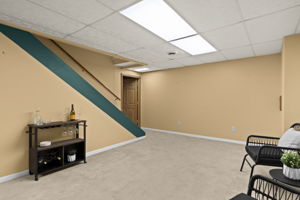 Lower Family Room