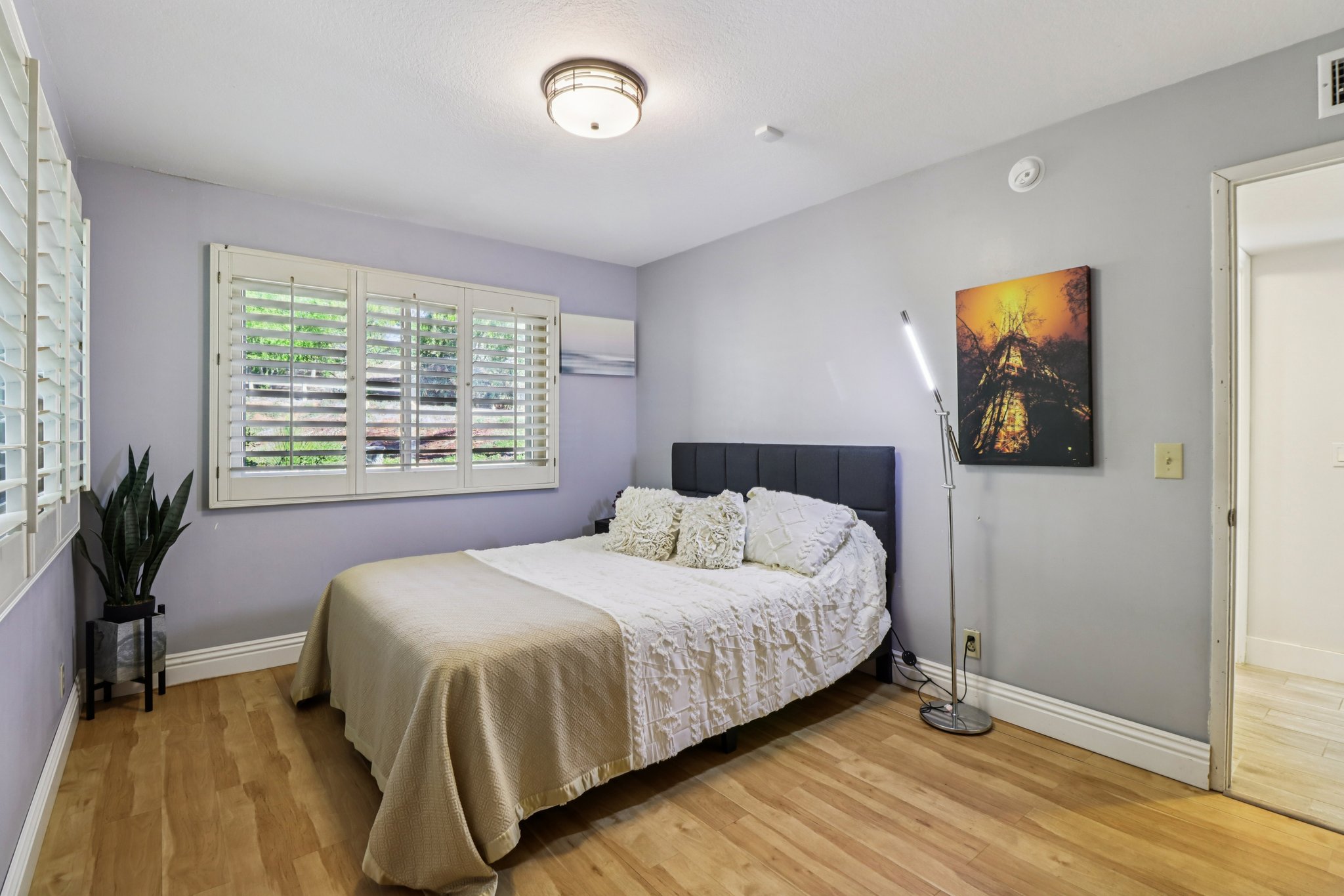 Colley Ln-S2411-042.jpg