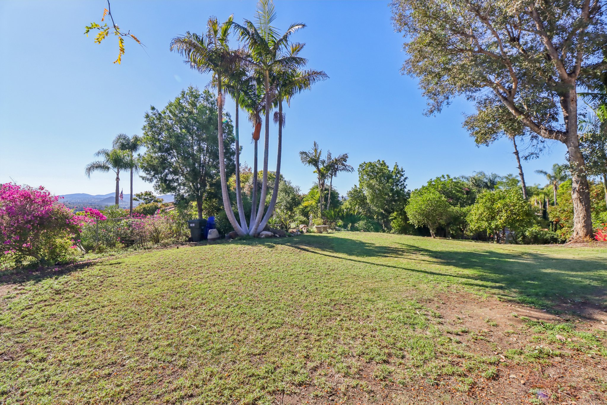 Colley Ln-S2411-057.jpg