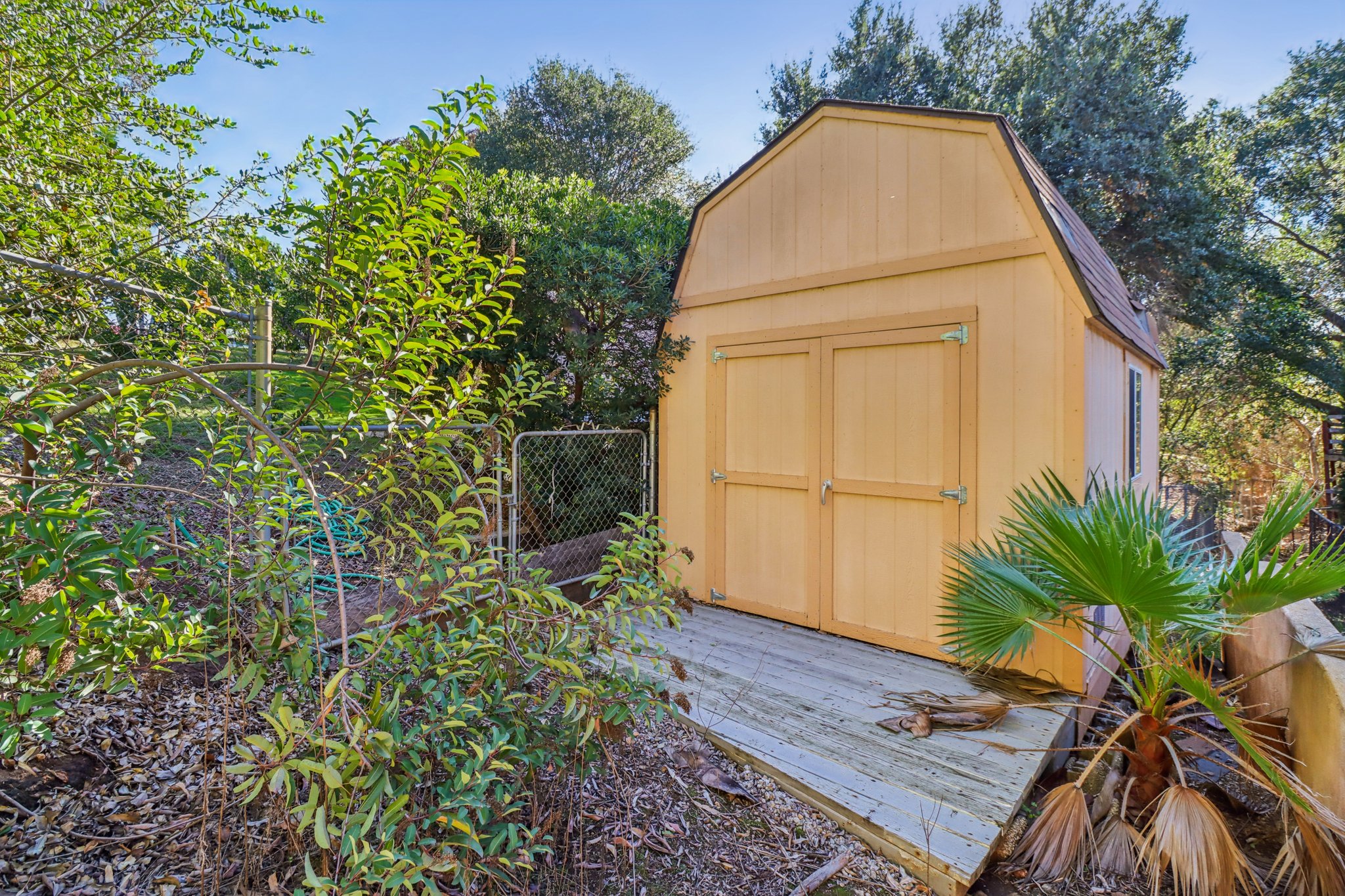 Colley Ln-S2411-065.jpg