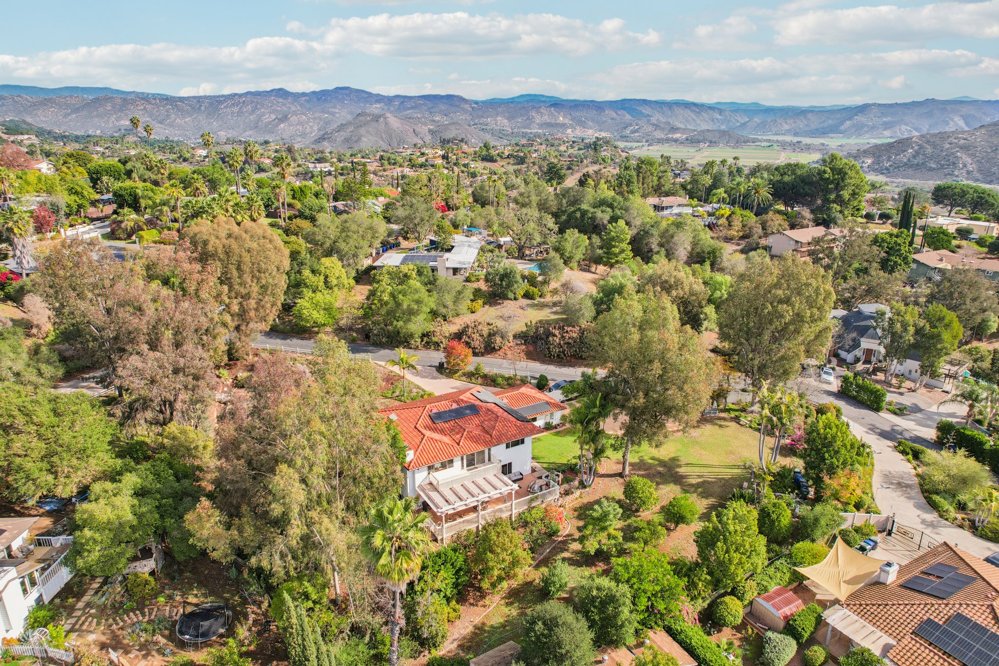 Colley Ln-S2511-1-015.jpg