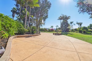 Colley Ln-S2411-056.jpg