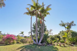 Colley Ln-S2411-059.jpg