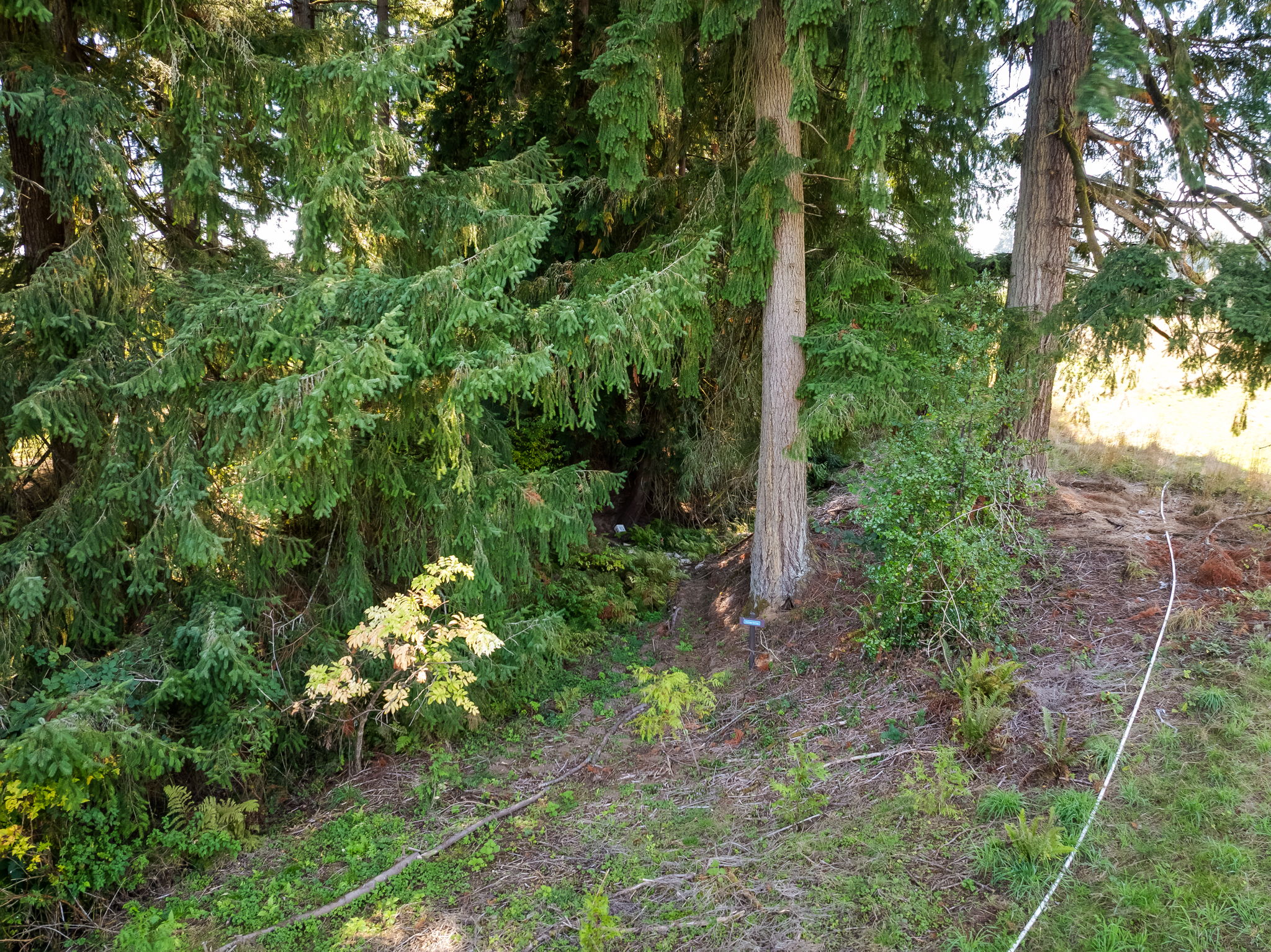  Photo 33