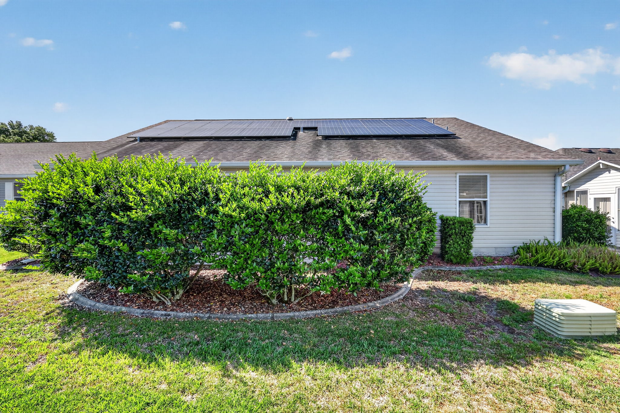 Mature PRIVACY Landscaping