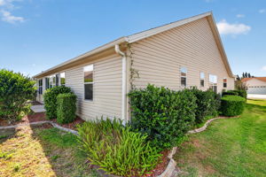Rear and Side Elevation with PRIVACY Landscaping