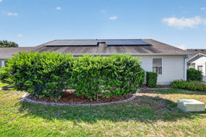 Mature PRIVACY Landscaping