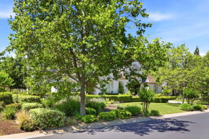 002_F8_3019 E Ruby Hill Dr