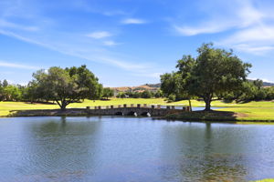 068_F8_3019 E Ruby Hill Dr