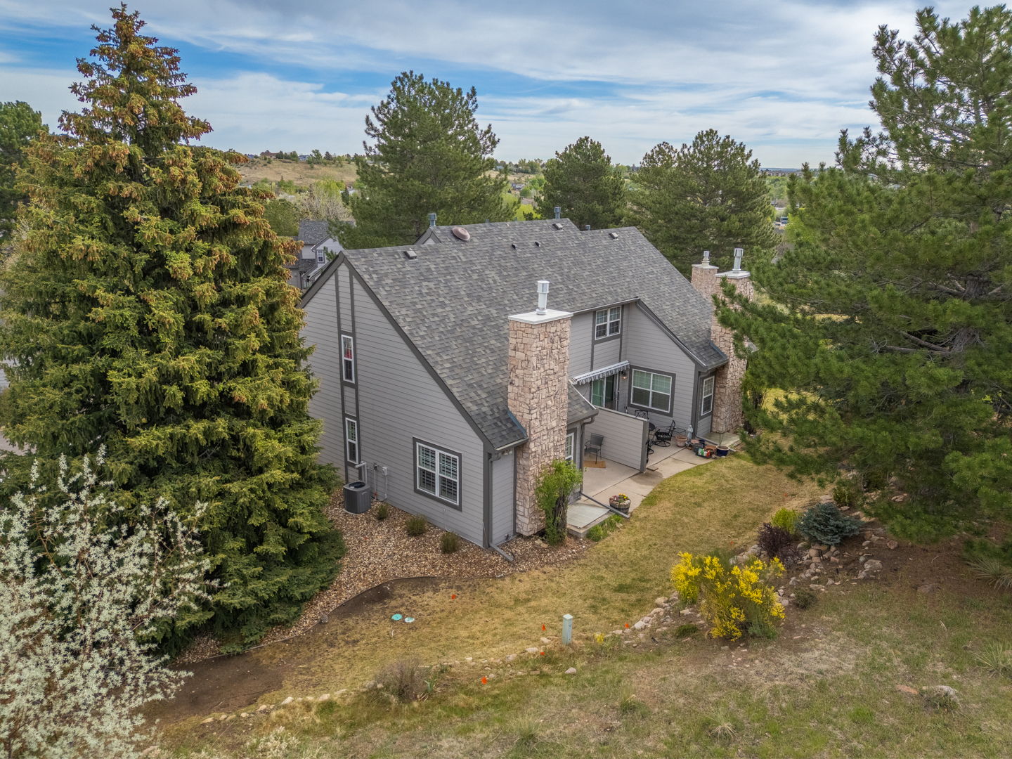  Photo 41