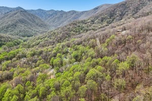 Davy Crockett Dr-S1404-067.jpg