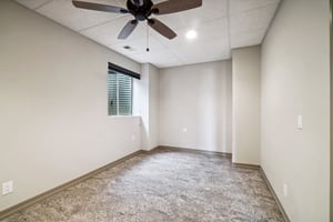 Dove Ln-032.jpg