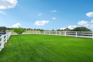 Dove Ln-086.jpg