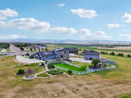 Dove Ln-101.jpg