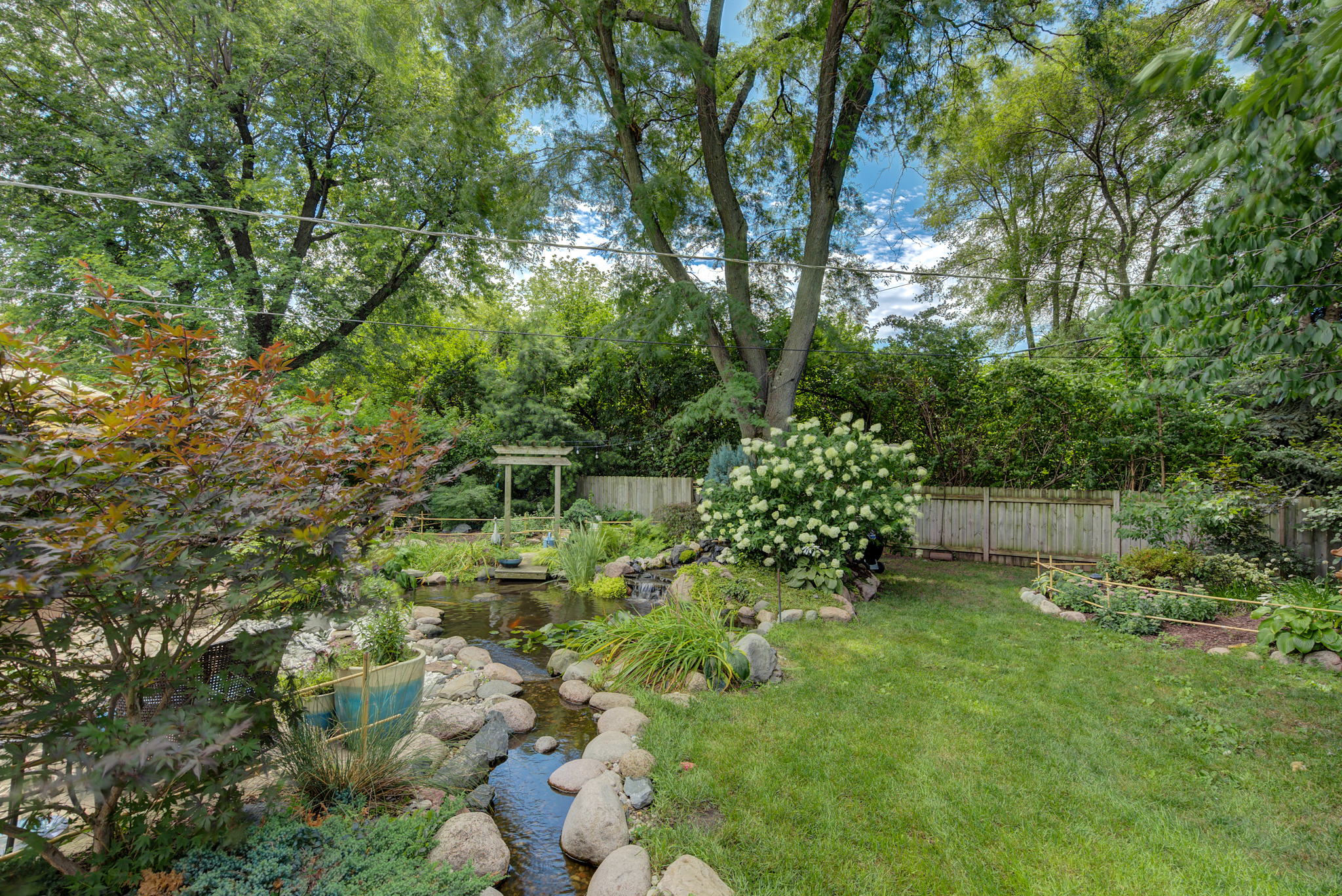 16 Backyard_