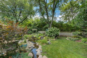 16 Backyard_