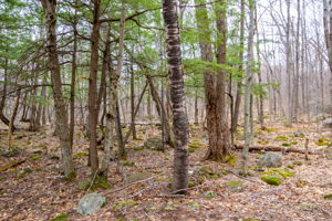  Photo 38