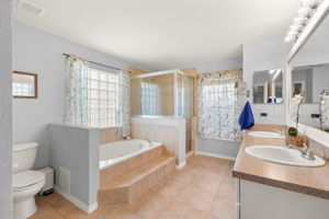 Guest Bathroom 1