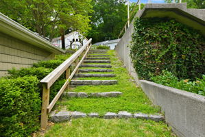  Photo 48