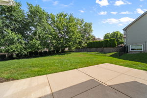  Photo 46