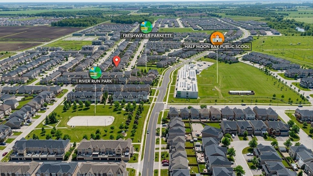 LOCAL AREA View-edited