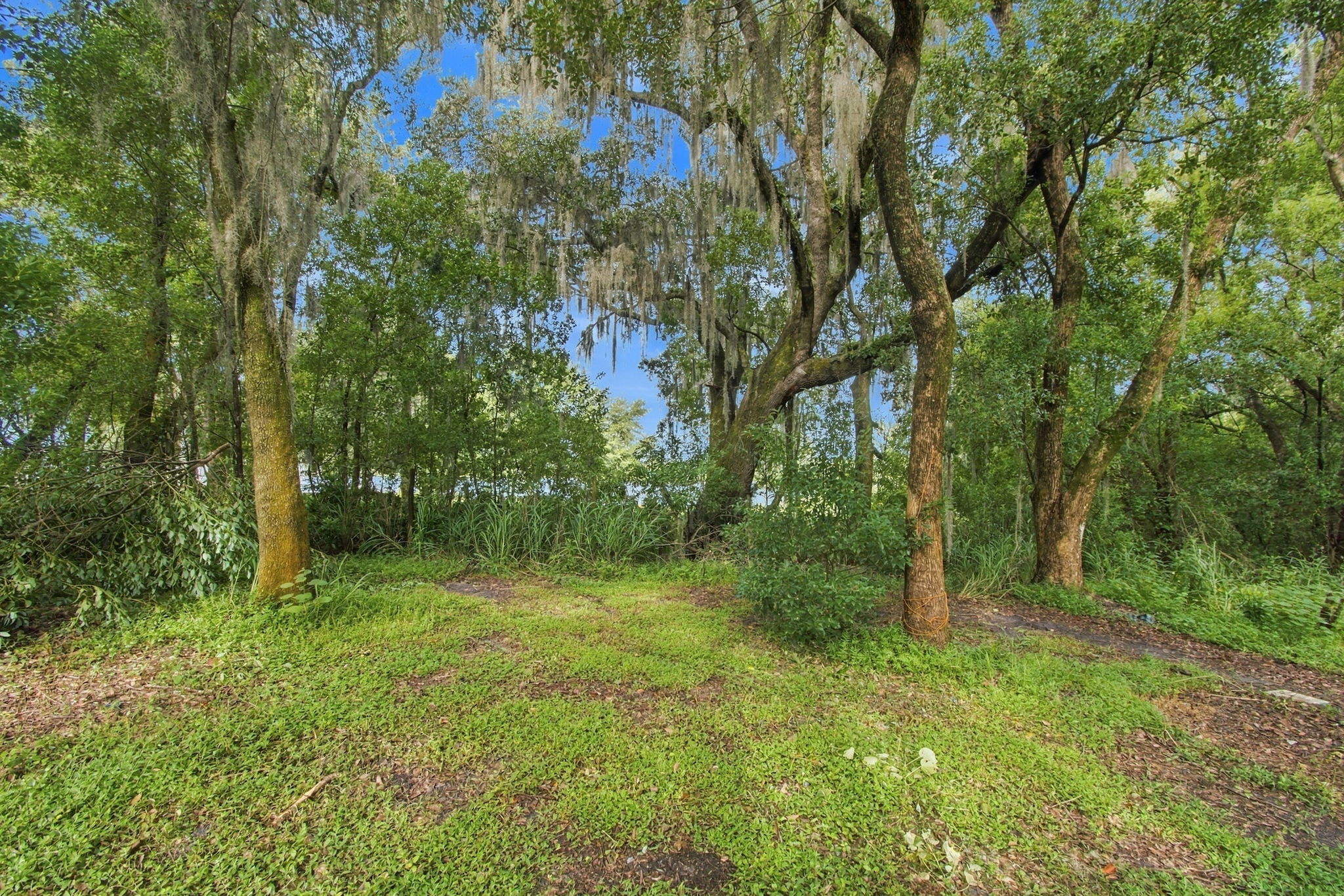 DSC_5595