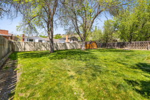  Photo 49