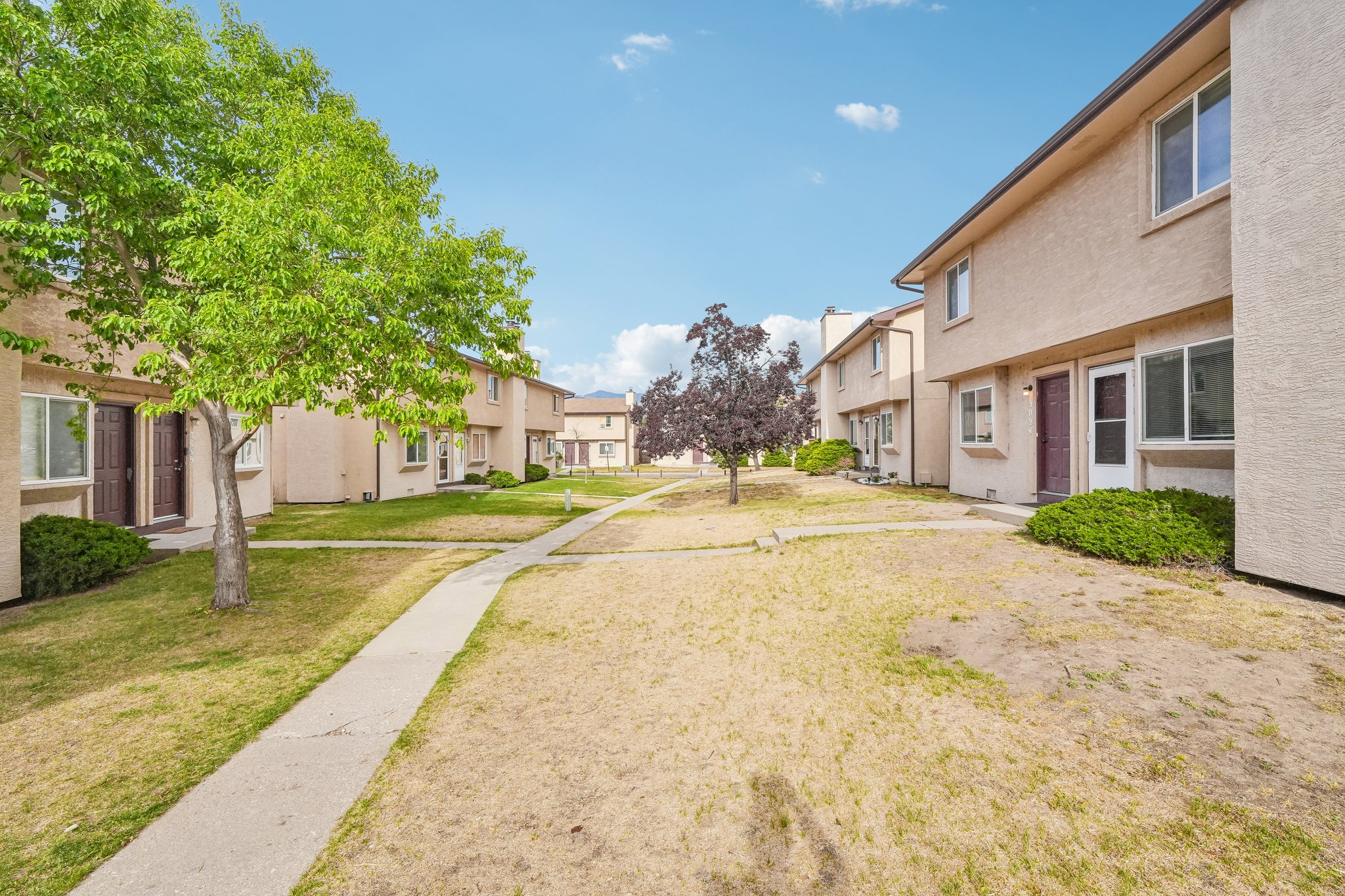 Starlight Cir-S0505-002.jpg