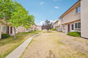 Starlight Cir-S0505-002.jpg