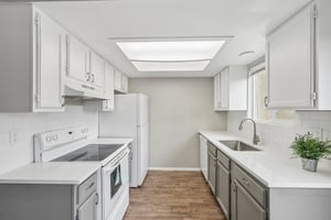 Starlight Cir-S0505-013.jpg