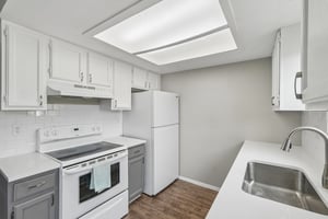 Starlight Cir-S0505-014.jpg