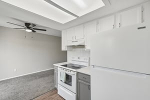 Starlight Cir-S0505-016.jpg