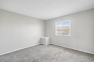 Starlight Cir-S0505-019.jpg