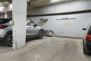  Photo 50