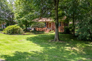  Photo 0