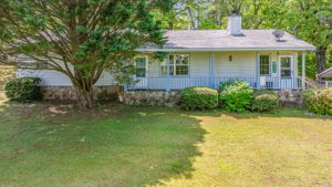 Image-3