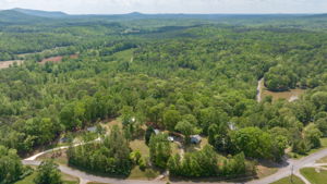 Image-43